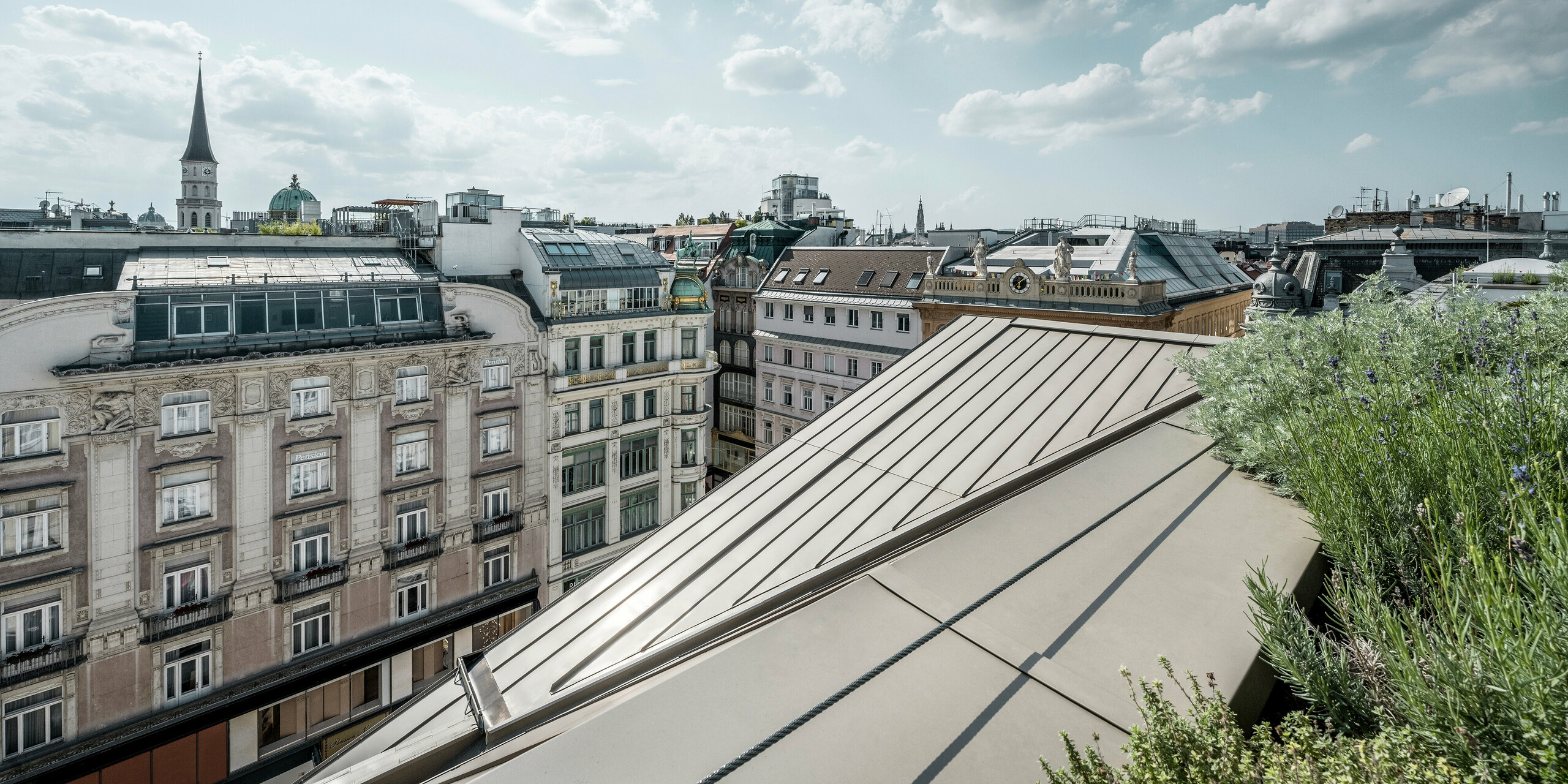 Weiter Blick auf die Dächer von Wien, rechts im Bild sind Prefalz-Bahnen ersichtlich, daneben eine Begrünung.