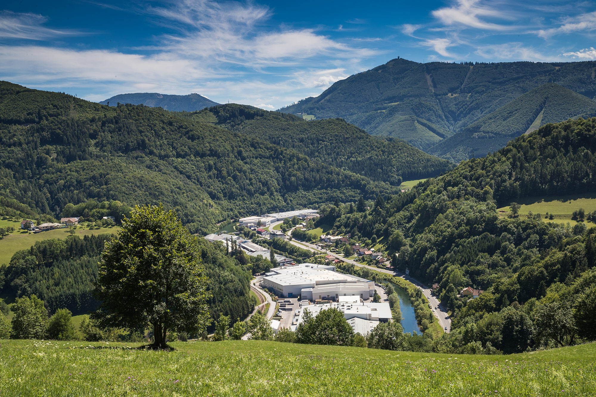 Foto dello stabilimento PREFA di Marktl da una delle colline circostanti; in primo piano è visibile un albero su un prato verde, sullo sfondo si osservano i vasti boschi di Lilienfeld.