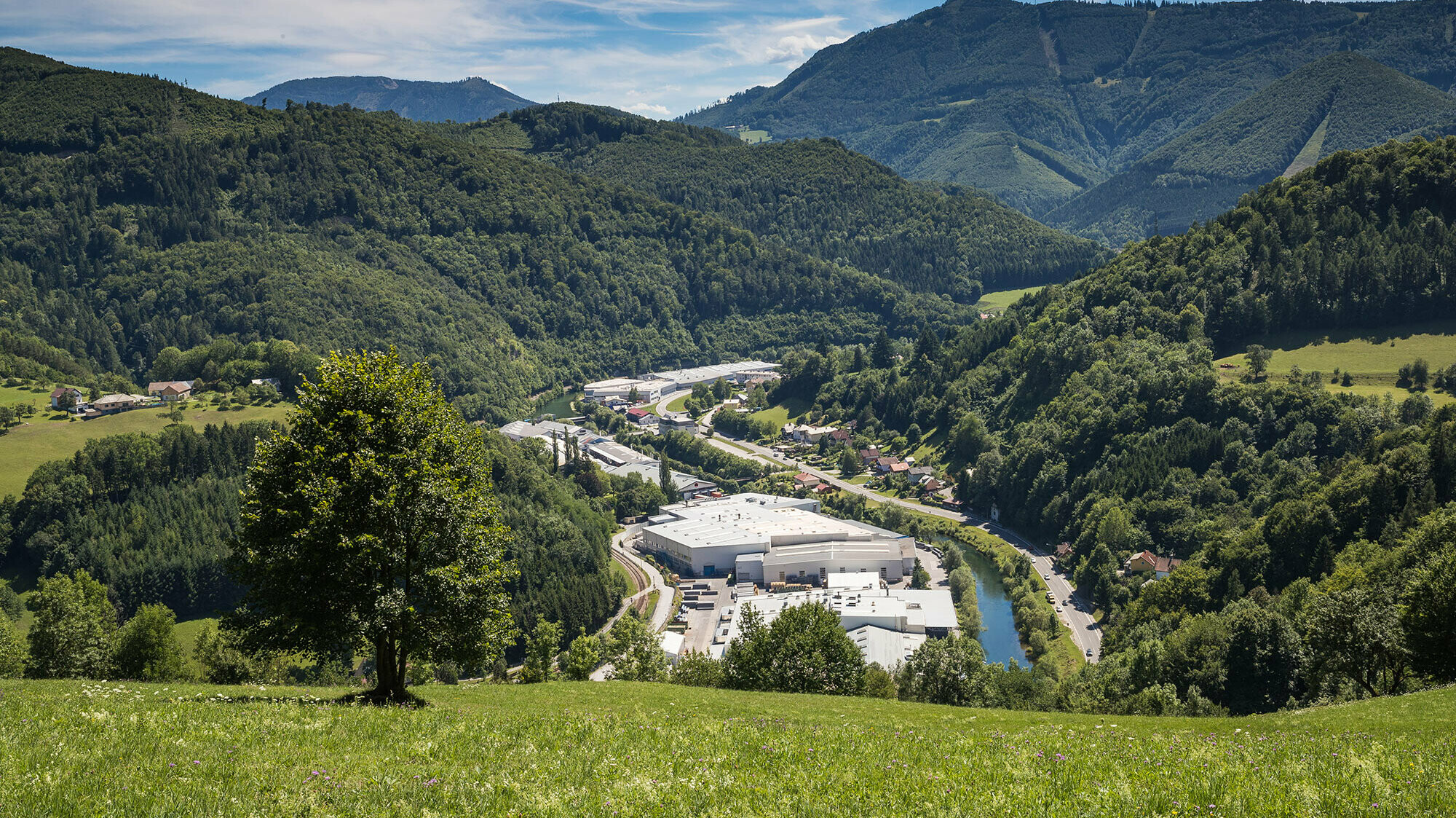 Foto dello stabilimento PREFA di Marktl da una delle colline circostanti; in primo piano è visibile un albero su un prato verde, sullo sfondo si osservano i vasti boschi di Lilienfeld.