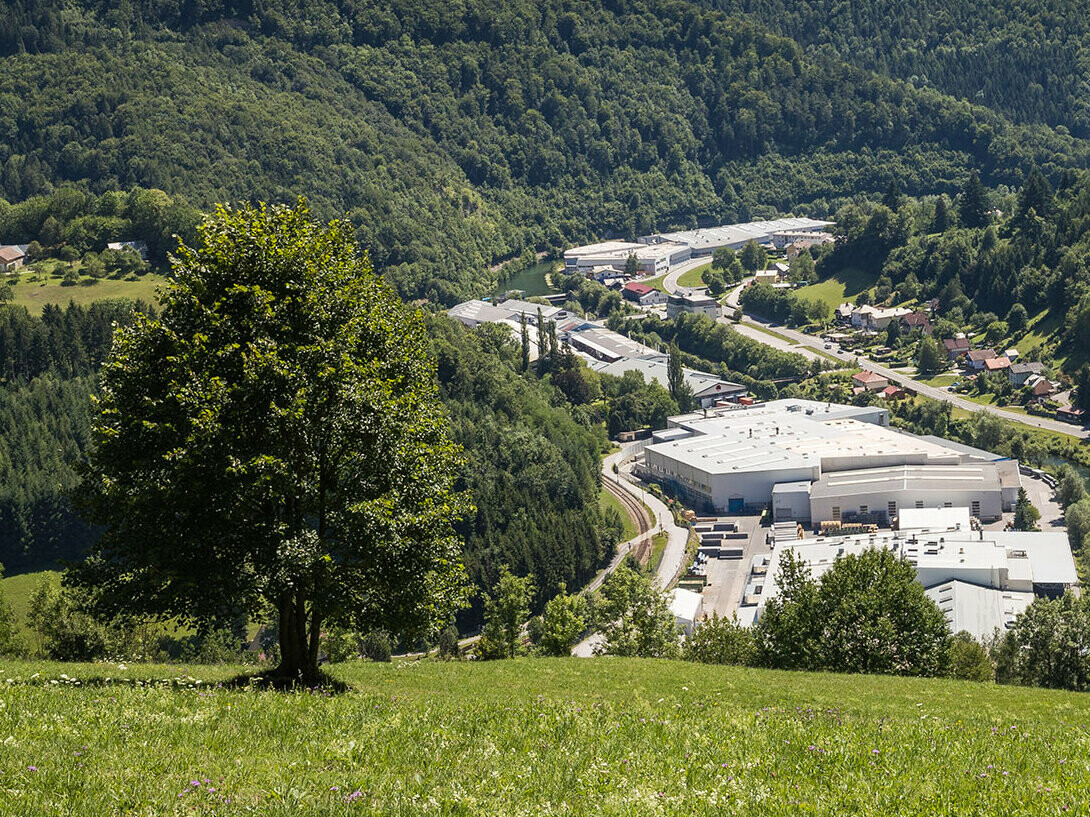 Foto dello stabilimento PREFA di Marktl da una delle colline circostanti; in primo piano è visibile un albero su un prato verde, sullo sfondo si osservano i vasti boschi di Lilienfeld.